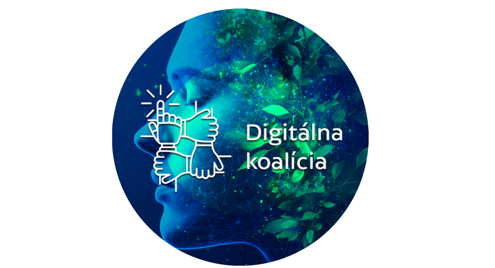 Ako ste na tom s digitálnymi a zelenými zručnosťami? Odpovede ponúka projekt Digitálna budúcnosť!